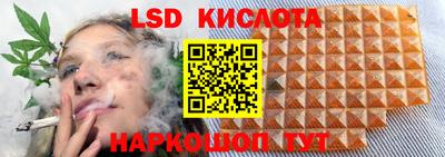 крисы Бийск