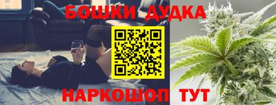крисы Бийск