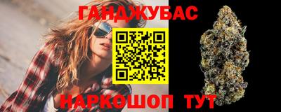 крисы Бийск