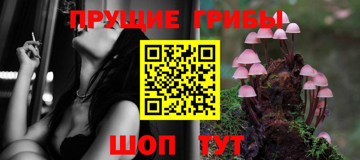 Псилоцибиновые грибы мухоморы  Псилоцибиновые грибы мухоморы  Иваново  Вход с VPN 